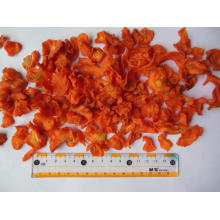 Dehydratisierte Karottengranulat -Flockenwürfelscheiben